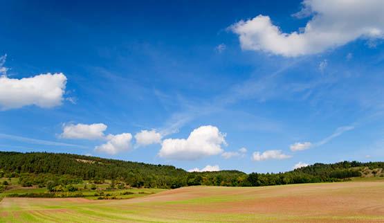 Aandachtstrekker Thüringen